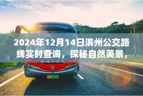 濱州公交路線實時查詢，啟程公交之旅，探尋自然美景與內心寧靜的交匯點