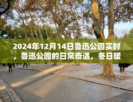 魯迅公園冬日暖陽下的日常奇遇與溫馨時光紀(jì)實(shí)（實(shí)時更新）