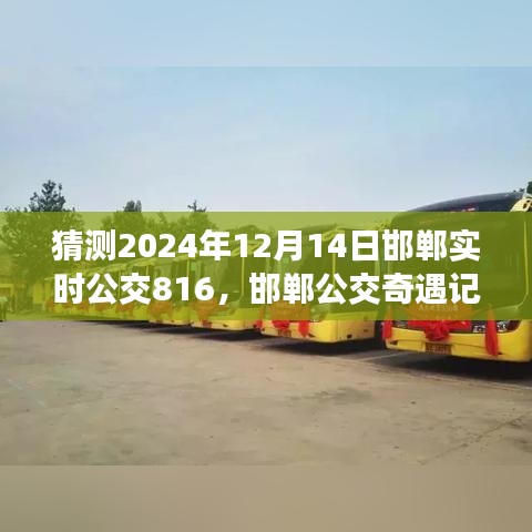 邯鄲公交奇遇記，揭秘與公交816的不解之緣，預(yù)測2024年12月14日實時動態(tài)