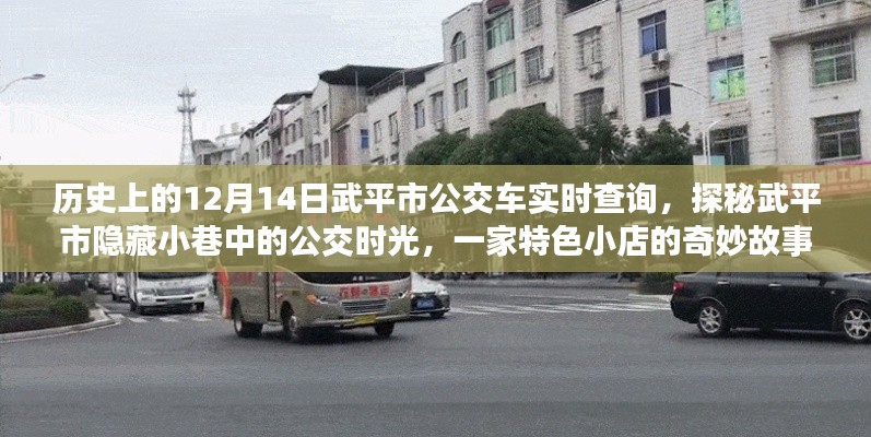 武平市公交探秘，歷史實時查詢與隱藏小巷的公交時光之旅特色小店故事