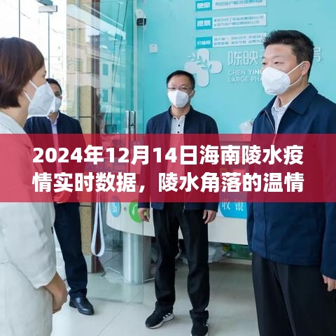 海南陵水疫情下的溫情角落，愛與陪伴的日常故事（實(shí)時(shí)數(shù)據(jù)報(bào)告）