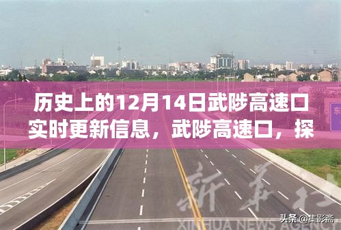 武陟高速口，探尋自然美景的啟程之地，揭秘歷史與未來，奇妙旅程盡在12月14日