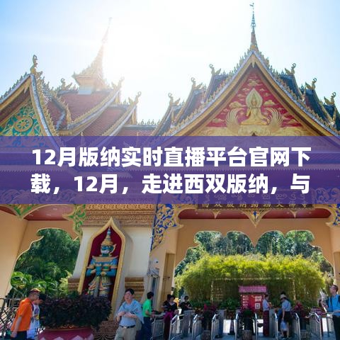 西雙版納實時直播平臺官網(wǎng)下載盛況回顧，與大自然共舞，體驗直播魅力