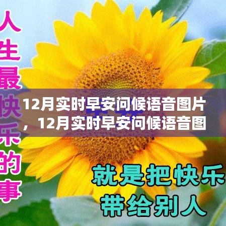 12月實(shí)時(shí)早安問候語(yǔ)音圖片，傳遞溫暖與活力的價(jià)值之旅