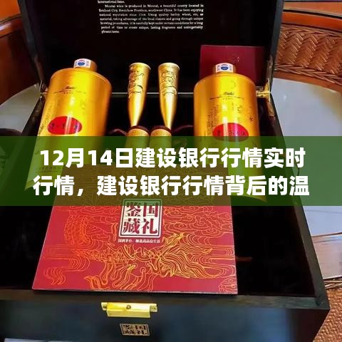 建設(shè)銀行行情背后的故事，特殊行情之旅揭秘溫馨故事（12月14日實(shí)時(shí)行情）