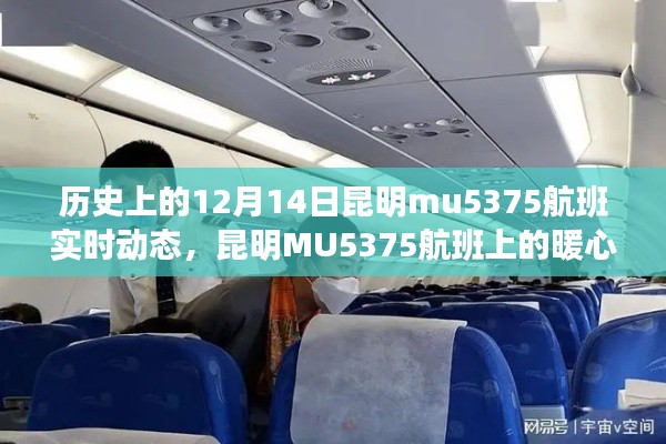 昆明MU5375航班，暖心故事與飛行奇遇的實(shí)時(shí)記錄