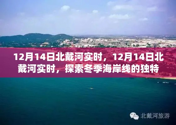 探索冬季北戴河海岸線的獨(dú)特魅力，實(shí)時(shí)報(bào)道與體驗(yàn)分享