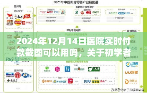 醫(yī)院實(shí)時(shí)付款截圖功能使用指南，初學(xué)者與進(jìn)階用戶步驟詳解（2024年）