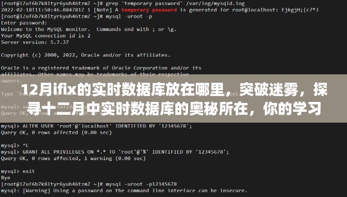 探尋十二月實(shí)時(shí)數(shù)據(jù)庫(kù)位置，學(xué)習(xí)之旅啟程