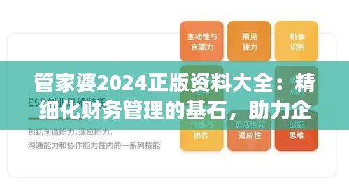 管家婆2024正版資料大全：精細(xì)化財(cái)務(wù)管理的基石，助力企業(yè)穩(wěn)健發(fā)展