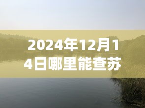 2024年蘇州實(shí)時(shí)公交指南，探秘自然美景與尋找心靈驛站