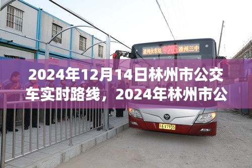 2024年林州市公交車實(shí)時(shí)路線指南，12月14日最新路線