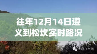 遵義松坎之旅，自然懷抱中的心靈寧靜與實時路況查詢