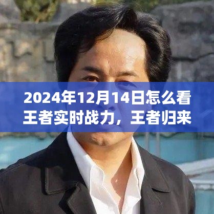 王者歸來，探尋自然美景之旅與解鎖內(nèi)心平靜之力，實時戰(zhàn)力指南（2024年12月14日）