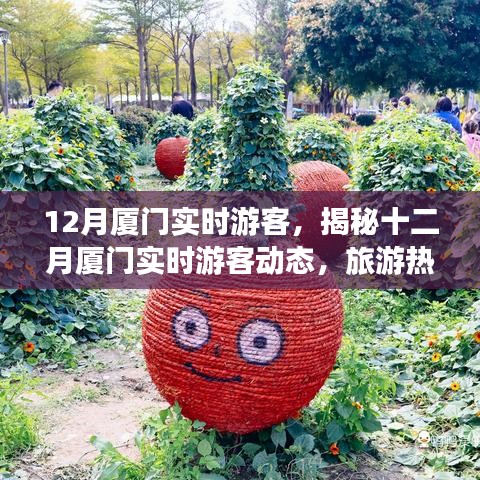 揭秘十二月廈門游客動態(tài)，旅游熱點、特征與活動亮點