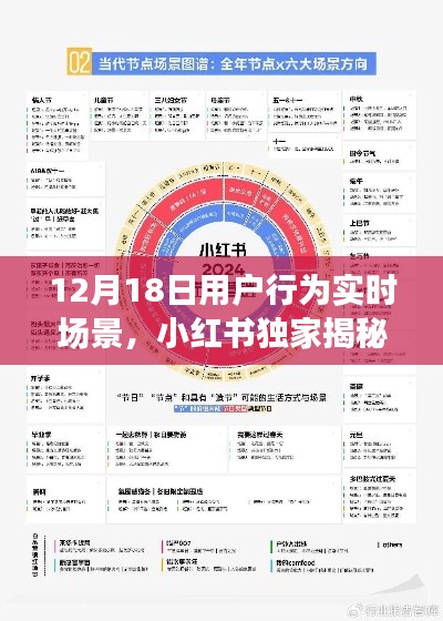 小紅書獨(dú)家揭秘，12月18日用戶行為實(shí)時(shí)場景全解析與洞察