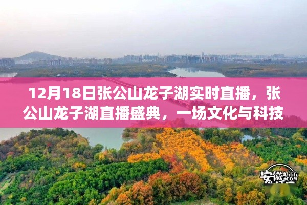 張公山龍子湖直播盛典，文化與科技的璀璨交融之夜