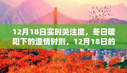 12月18日實時關(guān)注，冬日暖陽下的溫情時刻