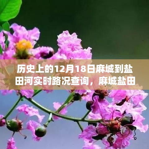 麻城鹽田河，一條路上的故事與溫情——實時路況查詢記錄