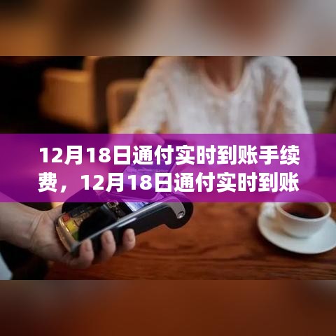 12月18日通付實(shí)時(shí)到賬手續(xù)費(fèi)調(diào)整解析，新政策費(fèi)用標(biāo)準(zhǔn)及其影響