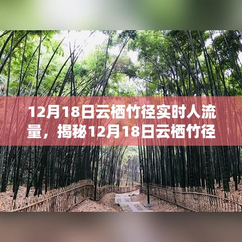 揭秘，云棲竹徑在12月18日的實時人流量深度解析與洞察報告