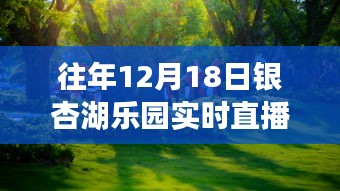 重溫銀杏湖樂園夢幻之旅，往年12月18日直播盛典回顧