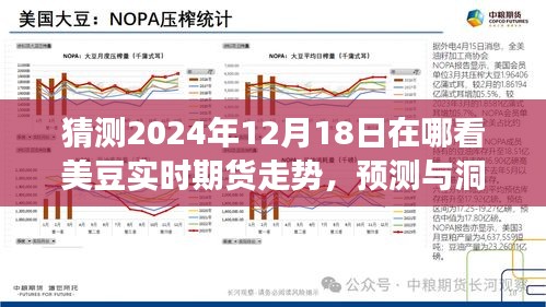 美豆實時期貨走勢展望，探尋2024年12月18日走勢預(yù)測與洞察