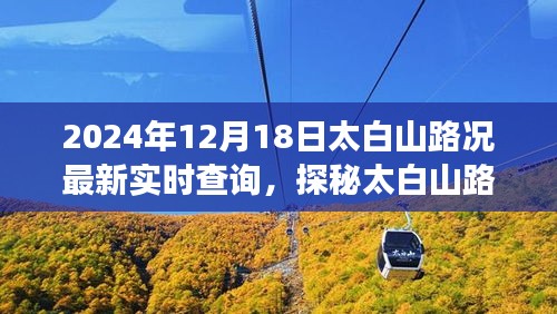 太白山路況實時更新，美食之旅探尋隱藏小巷的獨特風(fēng)味