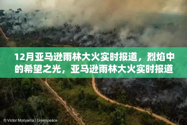 亞馬遜雨林大火實時報道，烈焰中的希望與挑戰(zhàn)，啟示背后的故事與反思