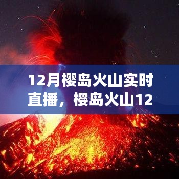 櫻島火山12月實(shí)時(shí)直播評(píng)測(cè)與全面介紹