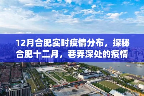 合肥十二月疫情探秘，巷弄深處的實(shí)時(shí)分布與獨(dú)特小店的故事