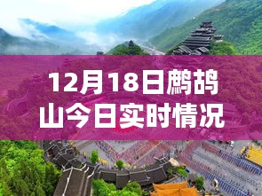 鷓鴣山今日實(shí)時(shí)情況，特色小店帶你領(lǐng)略別樣冬日風(fēng)情，驚喜藏于深山之中