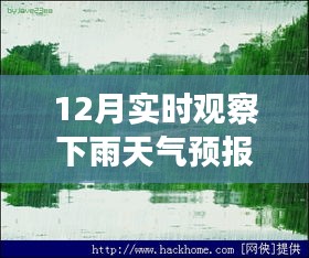 十二月的魔法時(shí)刻，雨中探索自然美景，與內(nèi)心的寧?kù)o共舞的天氣之旅