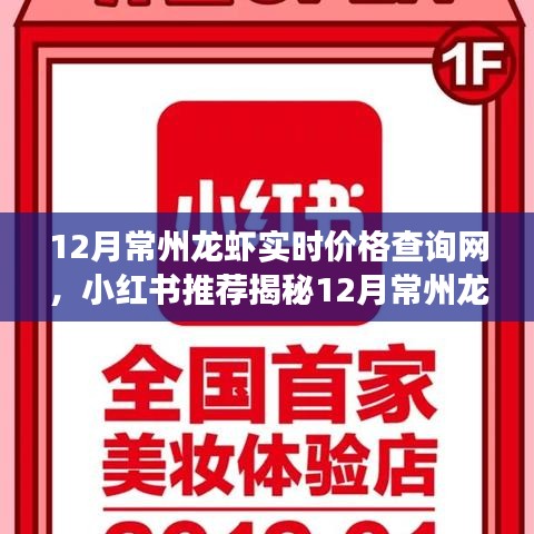 揭秘十二月常州龍蝦最新實時價格查詢攻略，小紅書推薦，輕松掌握市場走勢