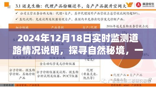 探尋自然秘境的心靈之旅，2024年12月18日實(shí)時(shí)監(jiān)測(cè)道路情況深度解析