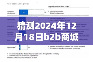 深度評測，預(yù)測與解析2024年12月18日B2B商城實(shí)時(shí)票據(jù)特性、體驗(yàn)、競品對比及用戶群體分析