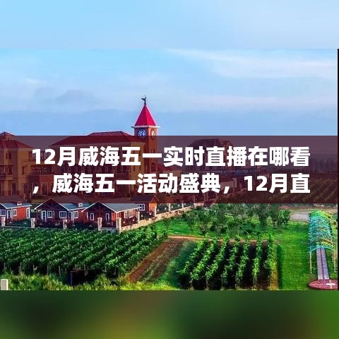 威海五一盛典直播回顧與活動(dòng)影響力深度探討，直播盛宴與影響探索