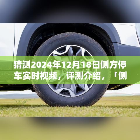 側方停車技術展望，2024年的停車體驗革新實時視頻評測介紹