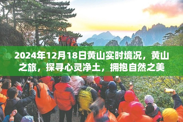 黃山之旅，探尋心靈凈土，擁抱自然之美——2024年12月18日黃山實(shí)時(shí)境況記錄