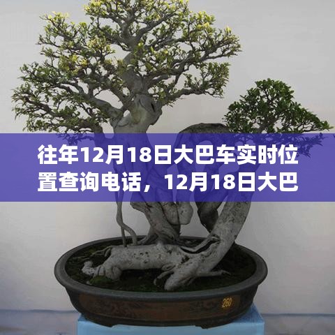 技術革新與出行變革，追溯大巴車定位查詢熱線的發(fā)展歷程
