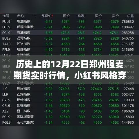 揭秘鄭州強(qiáng)麥期貨行情巔峰時(shí)刻，歷史上的特殊日子實(shí)時(shí)行情回顧——小紅書風(fēng)格穿越時(shí)光