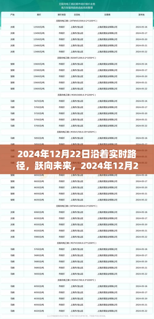 躍向未來，實時路徑下的共舞之旅——2024年12月22日展望