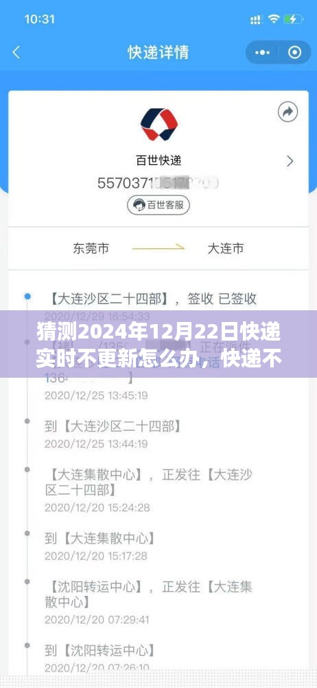 快遞實(shí)時(shí)更新故障應(yīng)對(duì)指南，快遞不更新？日常冒險(xiǎn)之旅中的溫馨解決方案
