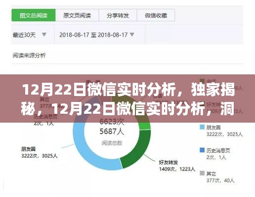 獨家揭秘，微信實時分析洞察社交趨勢，12月22日數(shù)據(jù)深度解讀