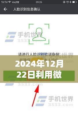 微信實(shí)時(shí)輸入數(shù)據(jù)庫(kù)操作指南，從初學(xué)者到進(jìn)階用戶的全面指南（2024年12月22日更新）