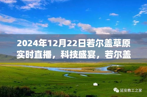 科技盛宴，若爾蓋草原云端直播盛宴——2024年若爾蓋草原實(shí)時(shí)直播體驗(yàn)