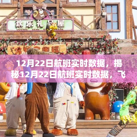揭秘航班實(shí)時(shí)數(shù)據(jù)，科技視角下的飛行之旅洞察（12月22日）