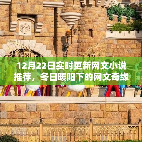 冬日暖陽下的溫馨網(wǎng)文奇緣，實時更新小說推薦