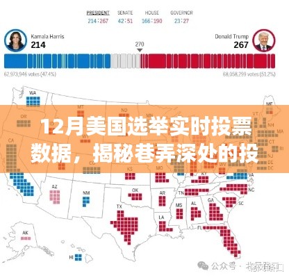 揭秘美國選舉風(fēng)云，巷弄深處的投票數(shù)據(jù)寶藏親歷之旅