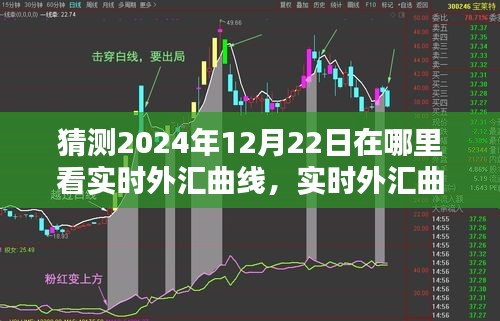2024年12月22日實時外匯曲線預(yù)測與最佳觀看平臺深度評測